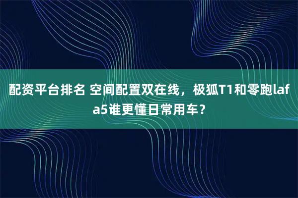 配资平台排名 空间配置双在线，极狐T1和零跑lafa5谁更懂日常用车？
